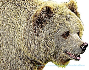 grizzly bear head png jpg clipart printable art digital download forest animals digital clip art realistic downloadable graphics images
