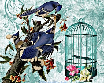 vintage Blue cardinal birds with tree and BIRD CAGE art print altered art wildlife nature artwork