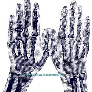human skeleton hand xray png jpg clipart graphics digital instant download image medical anatomy printable 7.9&quot; x 9.6&quot;