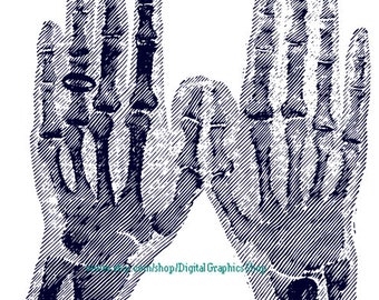 human skeleton hand xray png jpg clipart graphics digital instant download image medical anatomy printable 7.9" x 9.6"