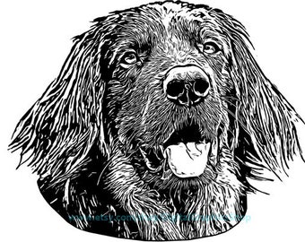 golden retriever dog printable, png jpg clipart, digital instant download, animals, pet portraits, transfer images