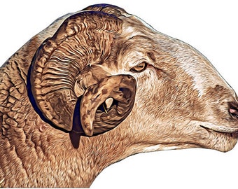farm animals ram sheep Face png jpg clipart printable wall art digital download digital clip art downloadable graphics images