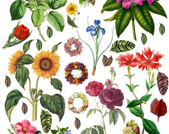 vintage flowers digital collage sheet • Instant Download •png JPEG clipart printable, decoupage crafts scrapbooking