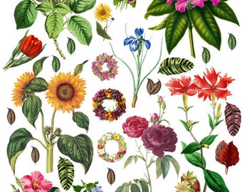 vintage flowers digital collage sheet • Instant Download •png JPEG clipart printable, decoupage crafts scrapbooking
