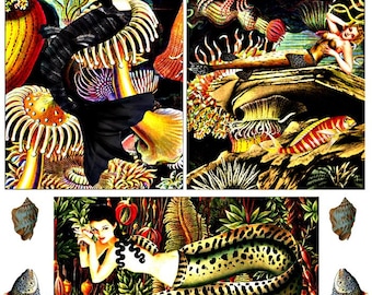 Fantasy Fairytale cliprt
