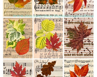printable vintage ephemera, leaves, sheet music, collage sheet, 2.5" x 3.5", clipart, aceos, tags, lables, cards, digital instant download