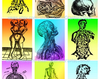 human anatomy, human body art, collage sheet, digital print. instant download, 2.5" x 3.5" aceo images, medical skeleton skull printables