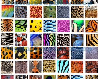 animals skin patterns, insects, textures, clipart, digital print, instant download, collage sheet, 1" x 1" inch squares, tiger leopard snake