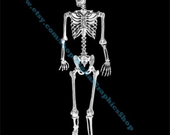 skeleton body x ray photo, digital print, instant download, xray images, physiology medical, human anatomy printables