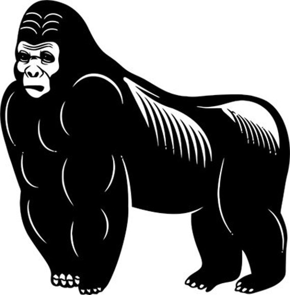 Silver back gorilla png jpg clipart printable art digital | Etsy