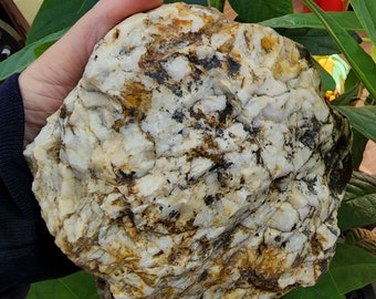big white raw Quartz crystal Rock rough large stone 3lbs 8 oz quartzite