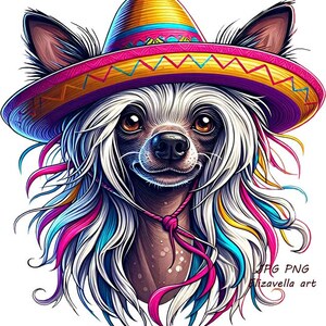 Chien chihuahua cheveux longs mexicain, chapeau sombrero png clipart animaux de compagnie art animalier mignon jpg png téléchargement numérique ILLUSTRATION COULEUR imprimable
