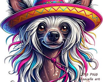 Mexican long hair chihuahua dog wearing sombrero hat png clipart pets cute animal art jpg png printable COLOR ILLUSTRATION digital download