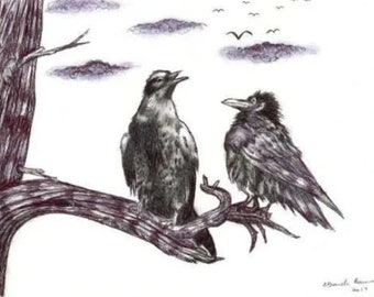 birds crow raven drawing original art pen ink animal illustrations Elizavella