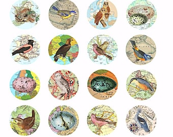 birds and eggs on maps altered art collage sheet clip art digital download 1.5 inch circles printables