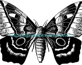 butterfly illustration vintage printable art print png clipart download digital image graphics insect bug black and white art