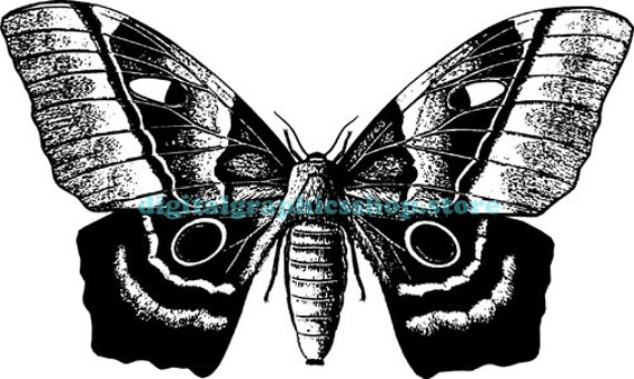 butterfly illustration vintage printable art print png clipart download digital image graphics insect bug black and white art