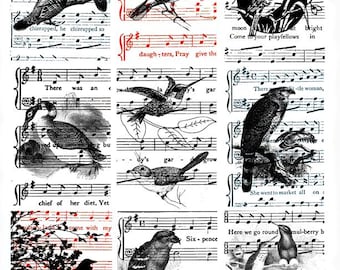 song birds illustrations, vintage sheet music collage sheet, 2.5" x 3.5" inch, clipart, aceos, tags cards  download printable