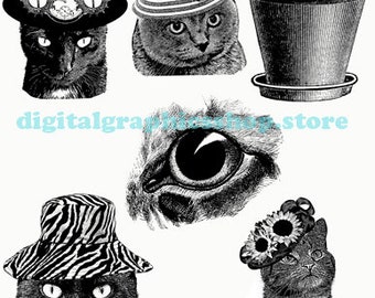 cats kittens illustrations printable animal art clipart png jpg instant download digital print