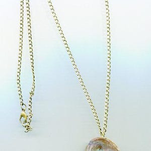 May include: A gold-colored chain necklace with a pendant made from a shell. The shell pendant has two red beads attached. The necklace is a unique piece of jewelry.