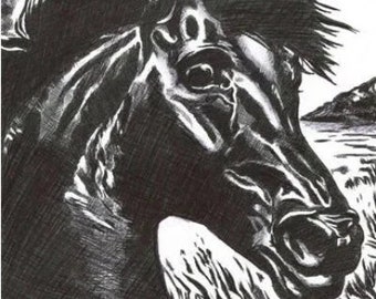 black stallion horse ink drawing, original horse art outsider folk animal nature art by Elizavella