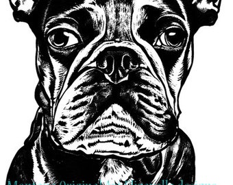 bull dog face paws png, dog clipart, jpg, printable wall art, digital instant download, animals, pets, pedigrees, dog breeds, canines