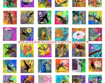 peacocks humming birds printables digital collage sheet art clipart, 1 inch squares instant downloads