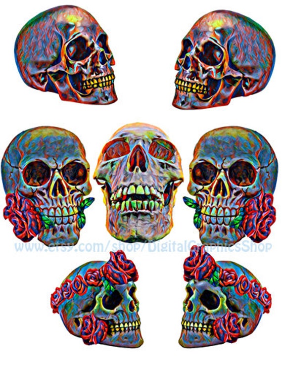 abstract art, human anatomy skulls, png clipart jpg digital print instant downlaod, day of the dead, graphics, printable art,