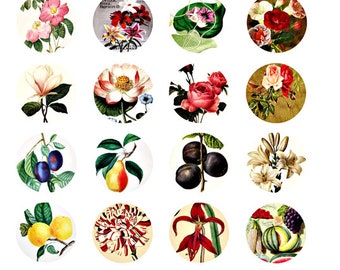 vintage flowers and fruit collage sheet, 1.5 inch circles, garden clipart, digital print download