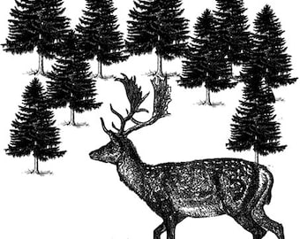 buck deer png, pine trees forest, printable animal art, clipart, instant download, digital print, nature wildlife