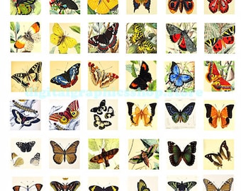 butterfly butterflies insect bugs clipart digital download collage sheet 1 inch squares graphics images craft pendant printables