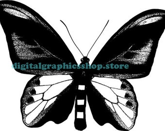 butterfly illustration vintage printable art print png clipart download digital image graphics insect bug black and white art