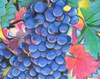 fruit grapes original drawing colored pencils art nature still life artwork
