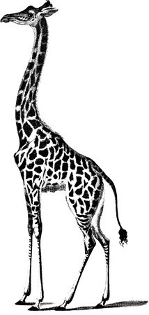 giraffe printable art, nursery kids room, digital print, instant download, animals, jungle safari image