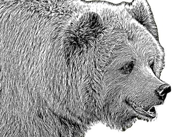 grizzly bear head png jpg clipart printable art digital download forest animals digital clip art stamp downloadable graphics images