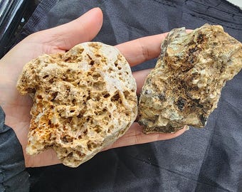 2 holy pitted raw Quartz crystal Rocks quartzite minerals specimens, fish tank aquarium rocks terrarium