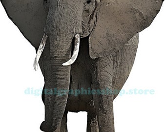 african elephant, png clipart, printable art, digital print, instant download, jungle safari animal,