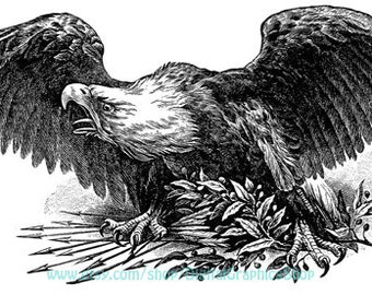 eagle with arrows, clipart png, jpg, bird illustration, printable art, digital print, instant download, vintage art images