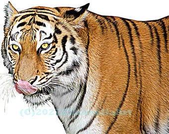 realistic jungle tiger png, jpg clipart, printable wall art , digital print, instant download, animals safari downloadable files