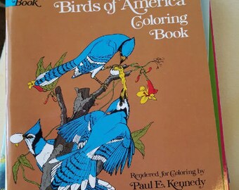 vintage Audubons Birds Of America coloring book animals line art drawings illustrations  1974 copyright