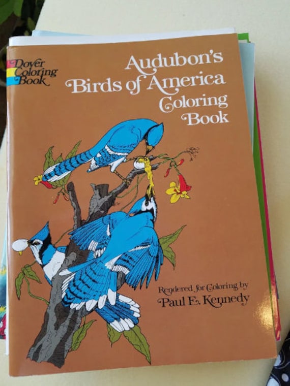 vintage Audubons Birds Of America coloring book animals line art drawings illustrations  1974 copyright