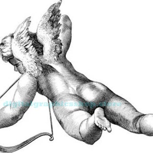 cupid boy angel cherub png clipart printable art jpg instant download fantasy digital instant download illustration