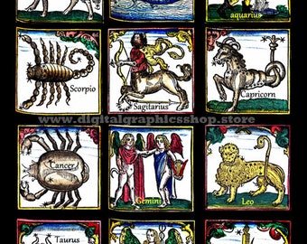 birthday zodiac signs drawing original art print, celestial, astrology star signs, horoscope artwork scorpio taurus pisces leo