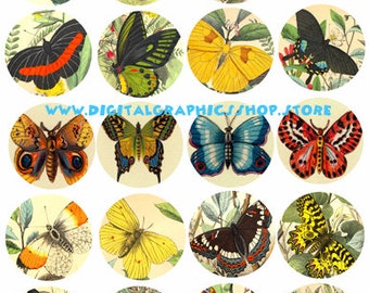 printable vintage art, butterfly images, insect bug clipart, digital collage sheet , instant download, 2 inch circles for pendants pins