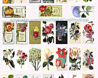 vintage flowers art, fruit, clipart, instant download, domino collage sheet, 1" x 2" inch images, digital prints, garden printables