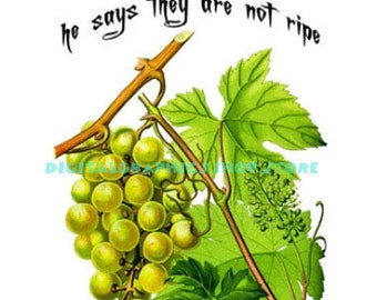 Green Grapes fruit Wise Quotes sayings Art printable art print png clipart instant download digital image graphics diy crafts cards