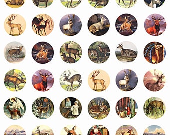 vintage deer art buck doe wildlife animals collage sheet 1 inch circles clipart digital download graphics bottle cap printables