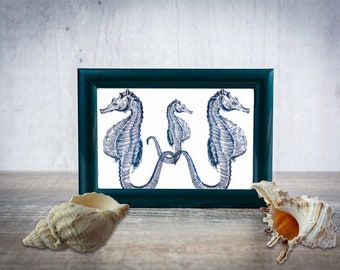 blue seahorse family sealife ocean animals art printable clipart png digital downloadable marine life image graphics