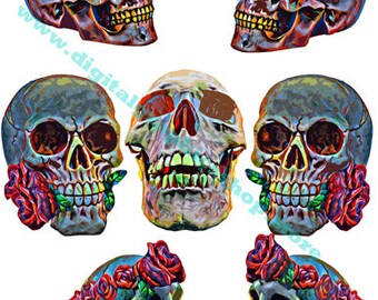 abstract art, human anatomy skulls, skull png clipart, digital prints, instant downlaod, day of the dead, printable art, junk journals