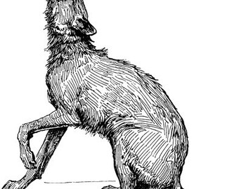 howling wolf illustration png jpg clipart printable art digital download animals wolves digital clip art stamp downloadable graphics images